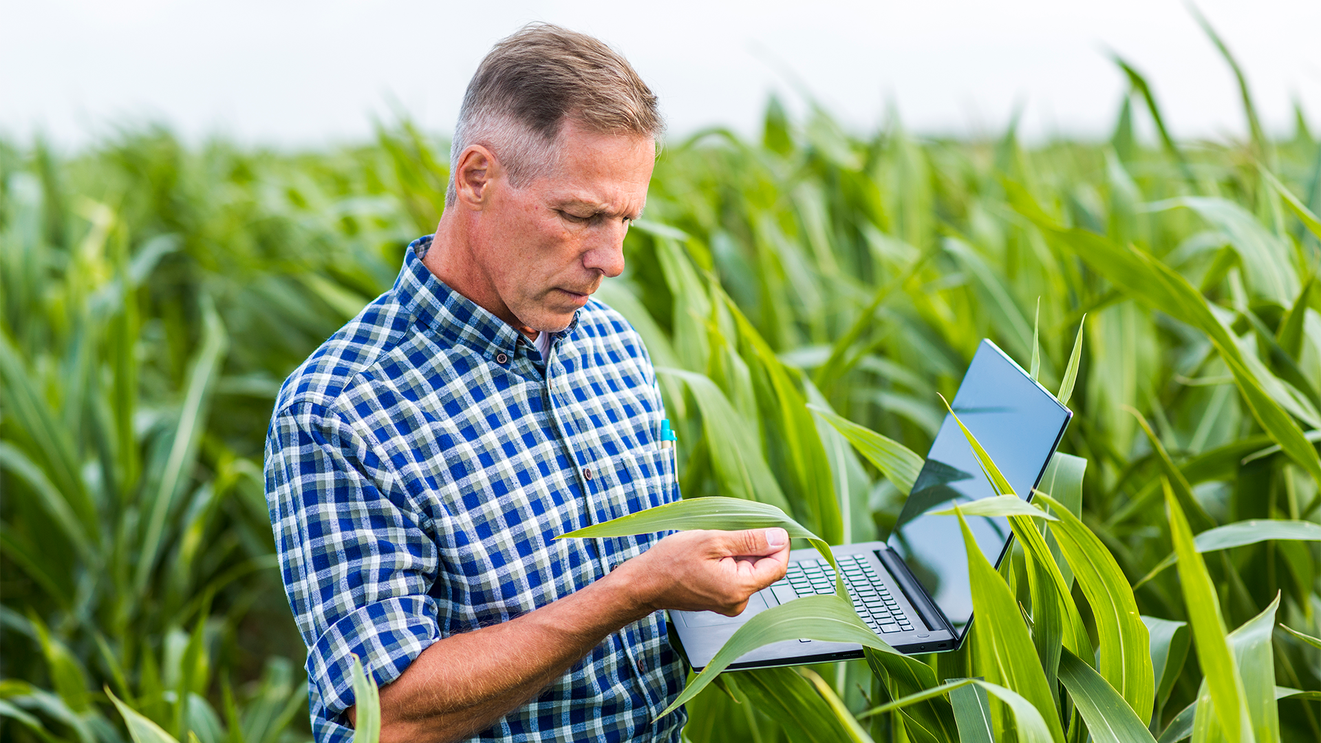 Reforma tributária no agro: o que muda na prática para o produtor rural!